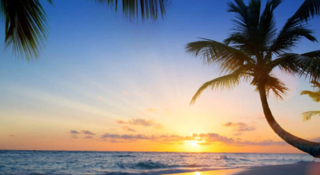Best All-Inclusive Resorts in Jamaica - Reggae Kush