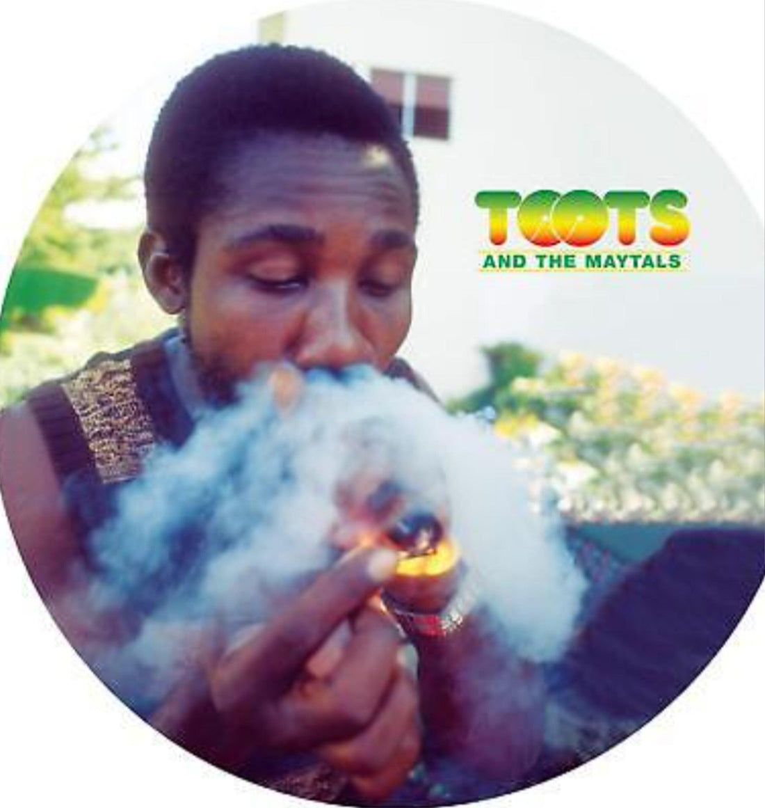 Exploring the Roots of Kush Strains - Reggae Kush